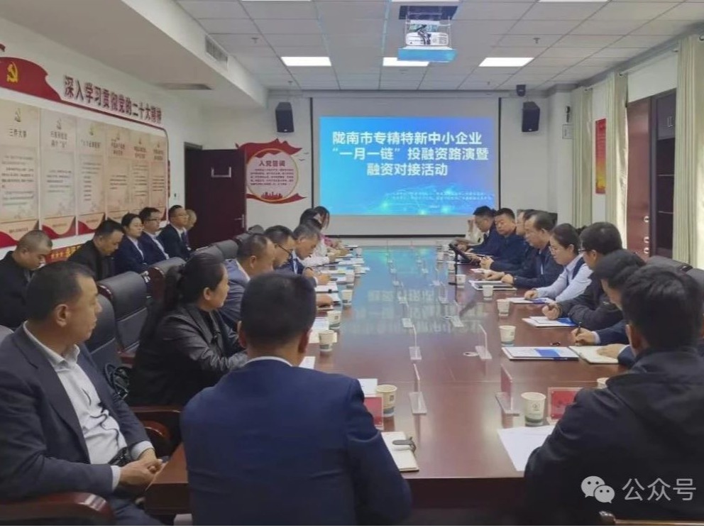 企業(yè)動態(tài)丨金控隴南擔保公司積極參加隴南市投融資路演對接活動 全力支持科創(chuàng)企業(yè)融資發(fā)展